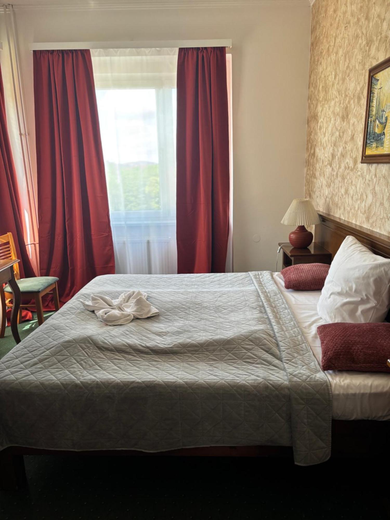 Hotel Bila Ruze Pisek (South Bohemian)